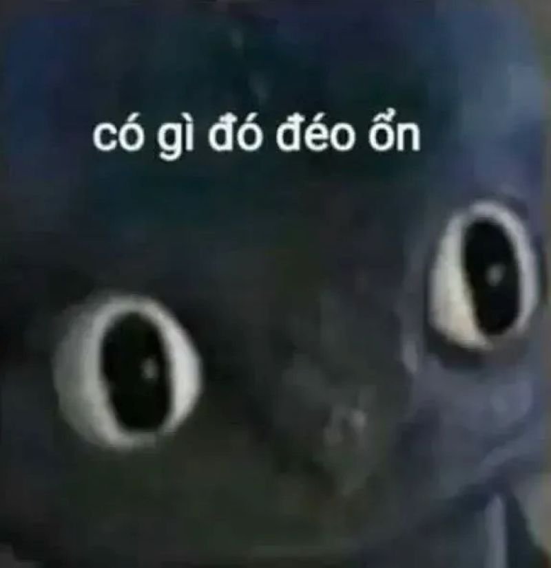 meme từ chối cực lầy trên facebook