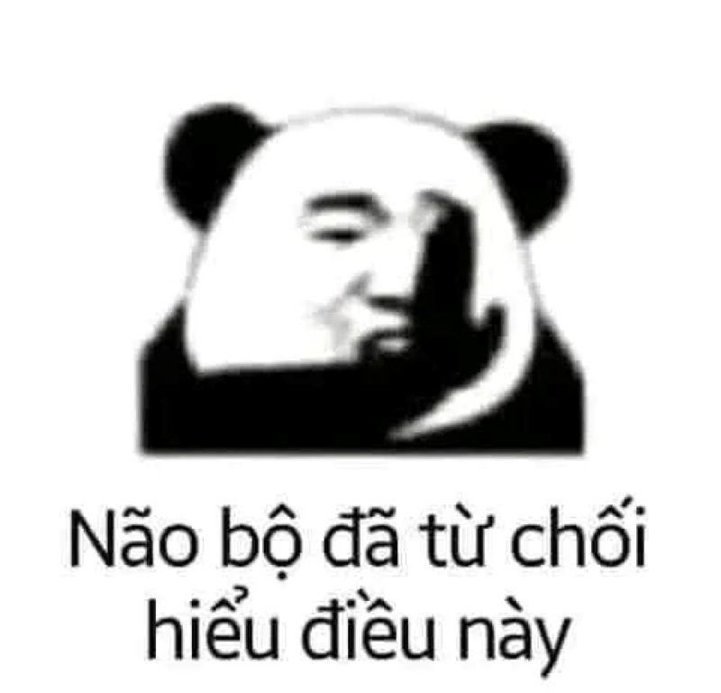meme từ chối cực viral trên mạng