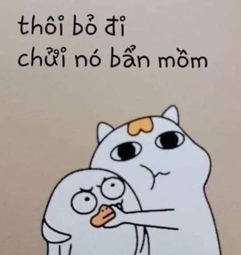 meme từ chối dành cho dân mạng