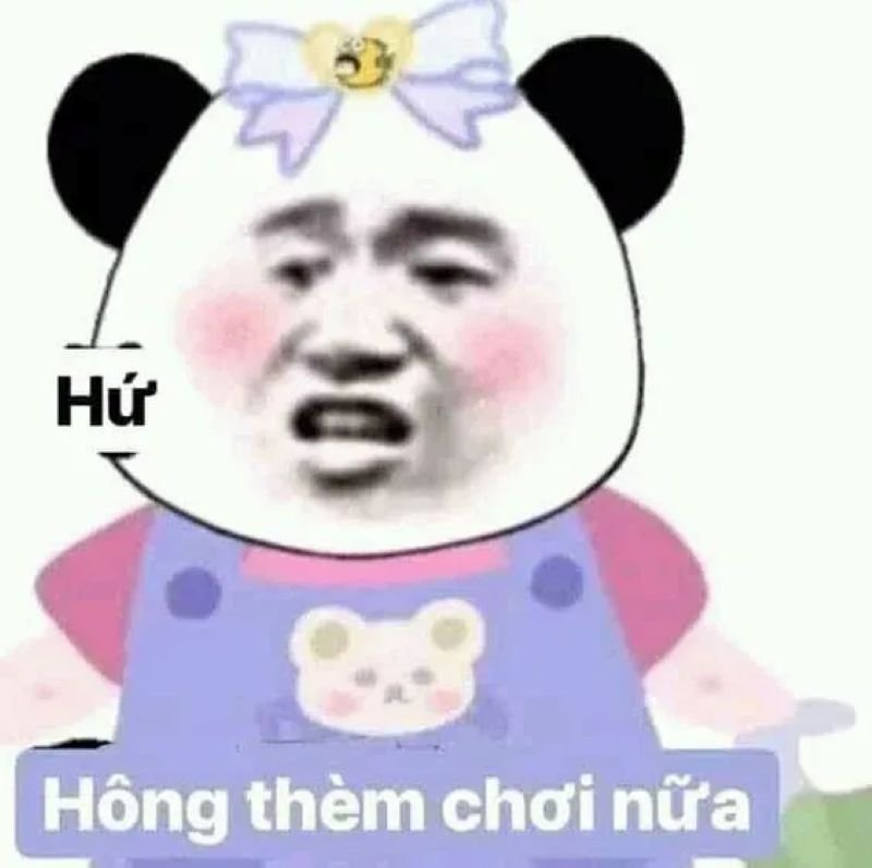 meme từ chối dùng khi nhắn tin