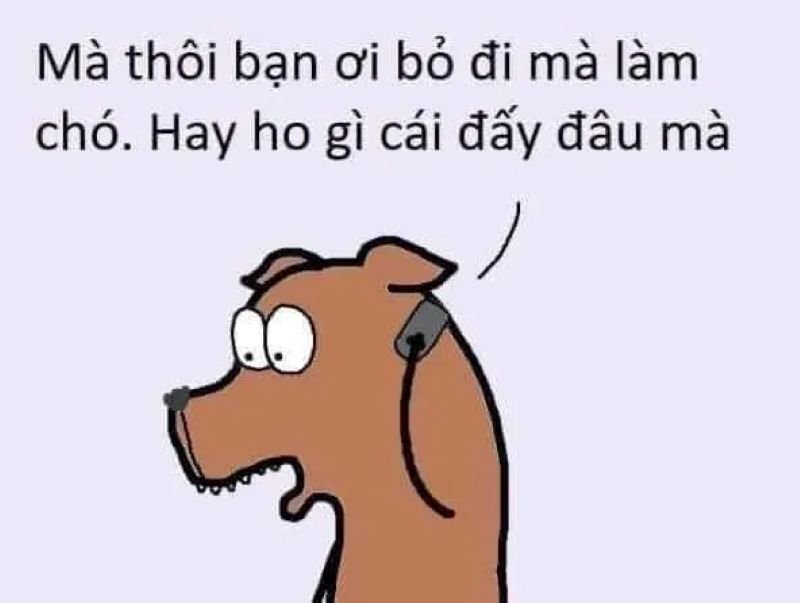 meme từ chối dùng trong cuộc sống