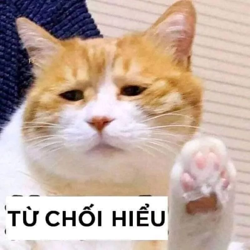 meme từ chối hài hước nhất hiện nay