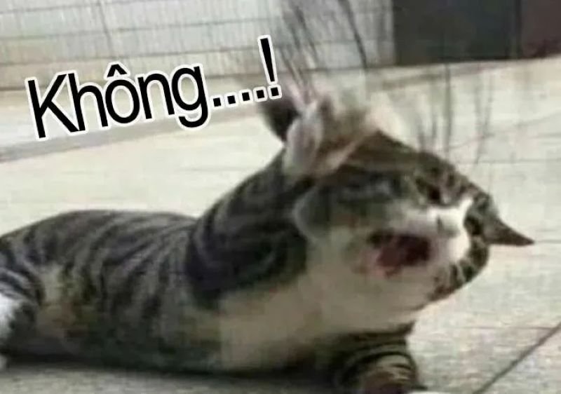 meme từ chối khiến đối phương cạn lời