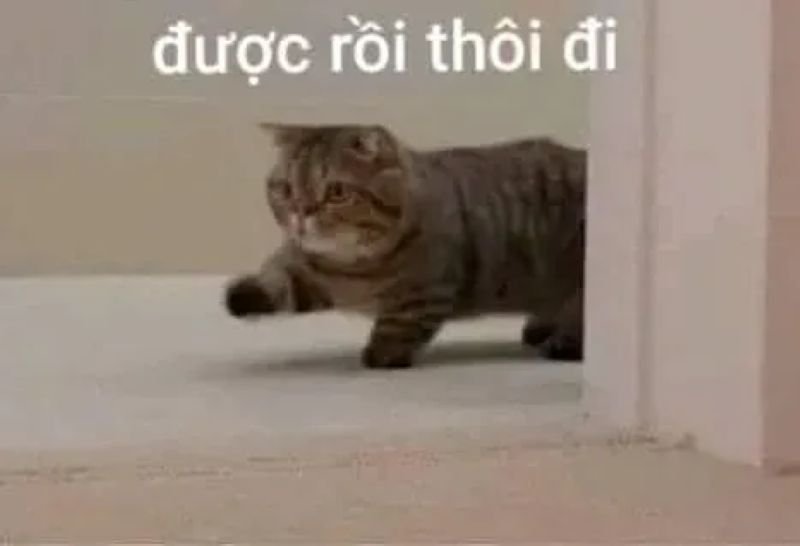 meme từ chối phũ nhưng đầy hài hước