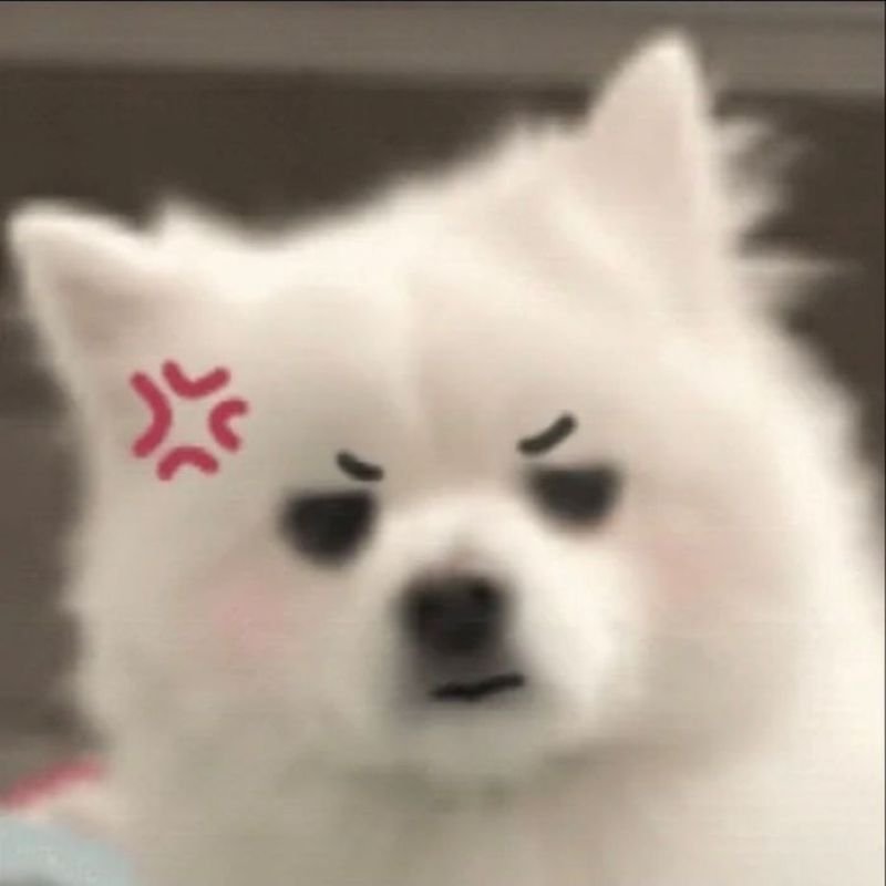 meme tức giận biểu cảm cực gắt meme tức giận biểu cảm cực gắt