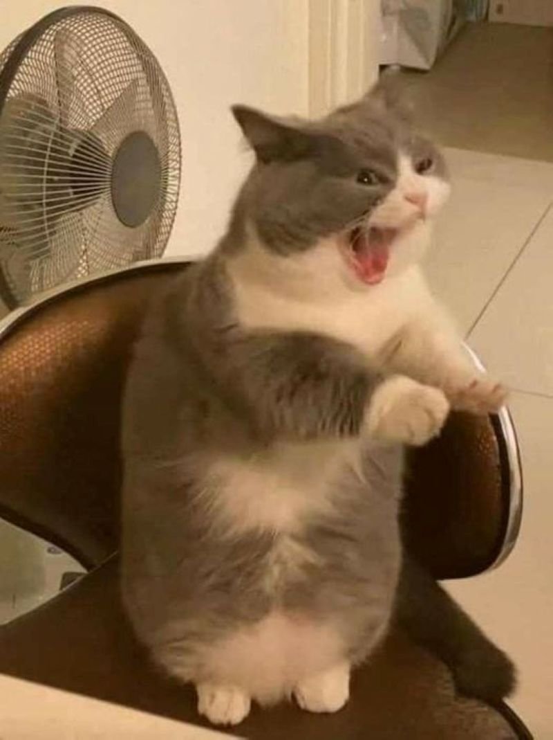 meme tức giận cực hài hước meme tức giận cực hài hước