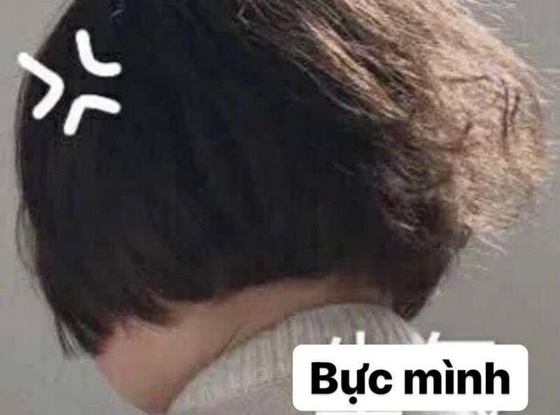meme tức giận khi gặp chuyện meme tức giận khi gặp chuyện