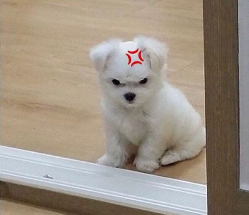 meme tức giận phản ứng cực mạnh meme tức giận phản ứng cực mạnh