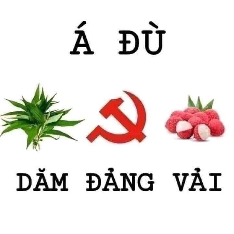 meme vì bạn xứng đáng có người thương