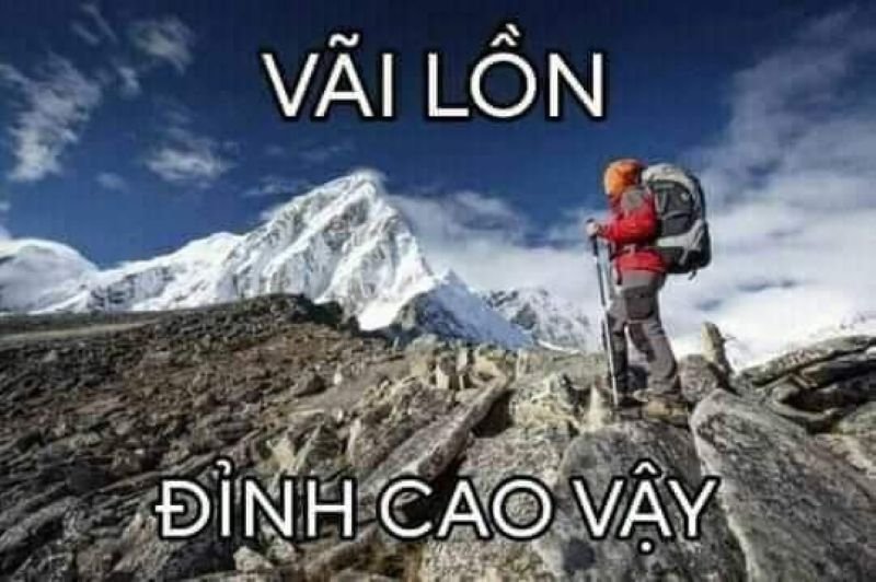 meme vì bạn xứng đáng có phút giây vui