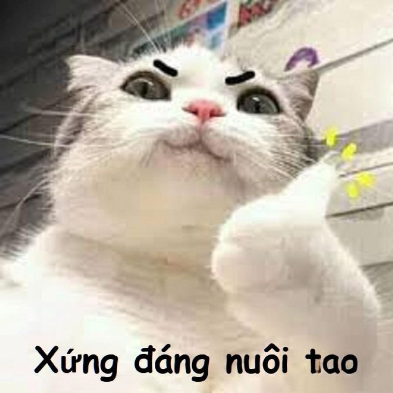 meme vì bạn xứng đáng có thật nhiều tiền