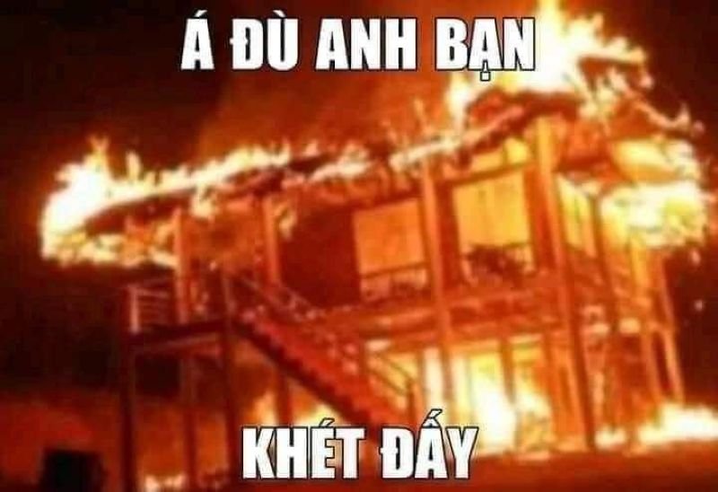 meme vì bạn xứng đáng được ưu tiên