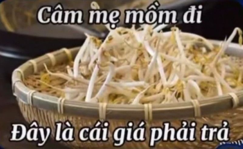 meme vì bạn xứng đáng nhận yêu thương