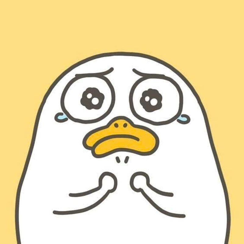 meme vịt biểu cảm cực kỳ đa dạng meme vịt biểu cảm cực kỳ đa dạng