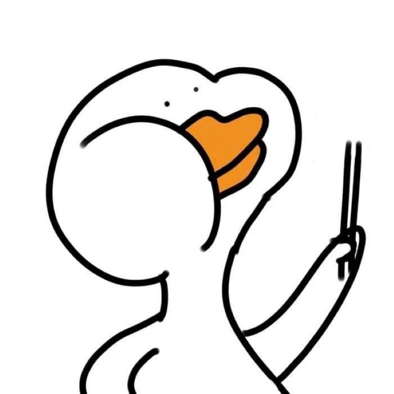 meme vịt đầy biểu cảm cực chất meme vịt đầy biểu cảm cực chất