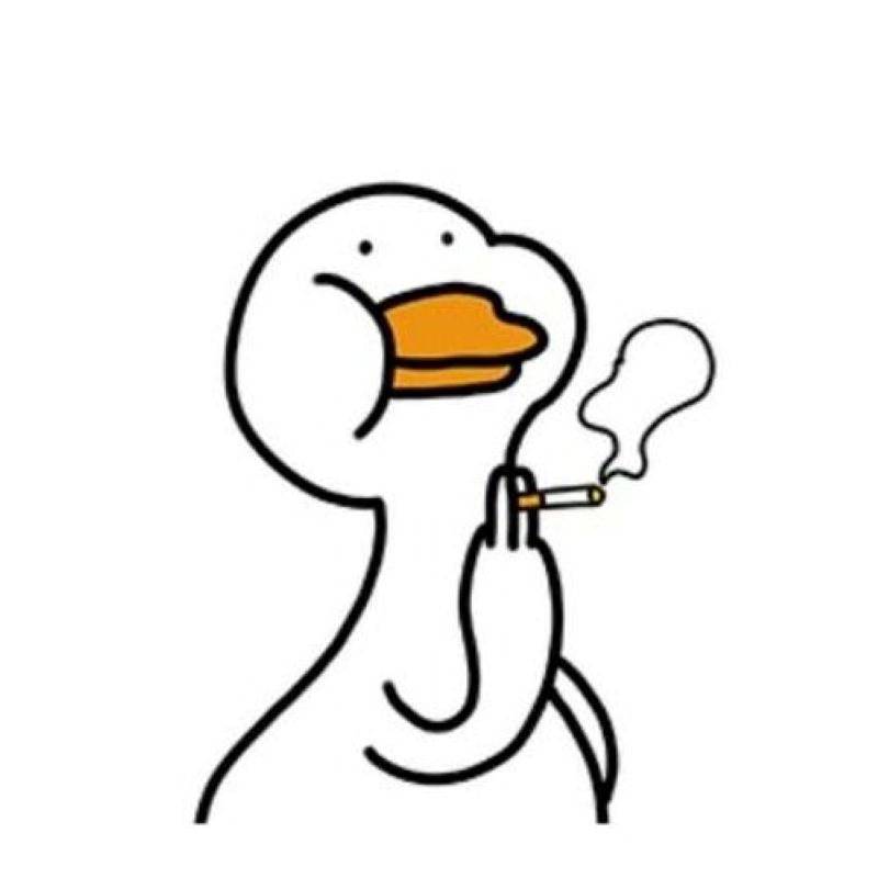 meme vịt hài hước khiến ai cũng cười meme vịt hài hước khiến ai cũng cười