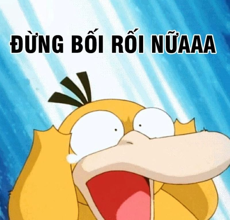 meme vịt hài hước siêu lầy lội meme vịt hài hước siêu lầy lội