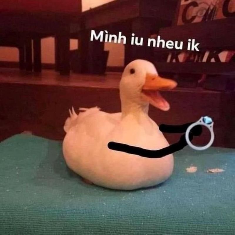 meme vịt khóc mà vẫn hài meme vịt khóc mà vẫn hài