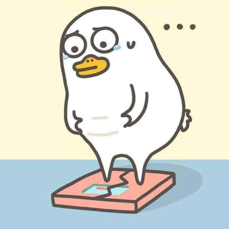 meme vịt lầy lội khiến dân mạng cười meme vịt lầy lội khiến dân mạng cười