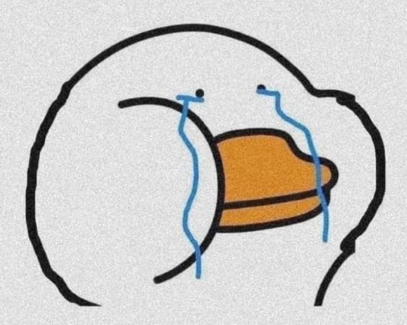 meme vịt ngơ ngác cực đáng yêu meme vịt ngơ ngác cực đáng yêu