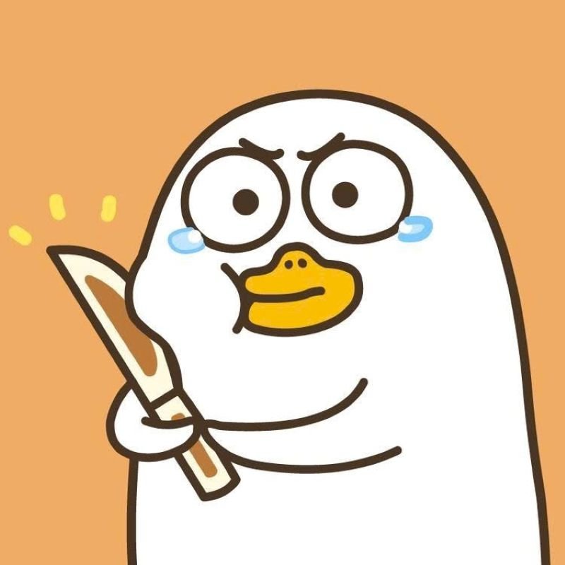 meme vịt troll cực mạnh trên mạng meme vịt troll cực mạnh trên mạng