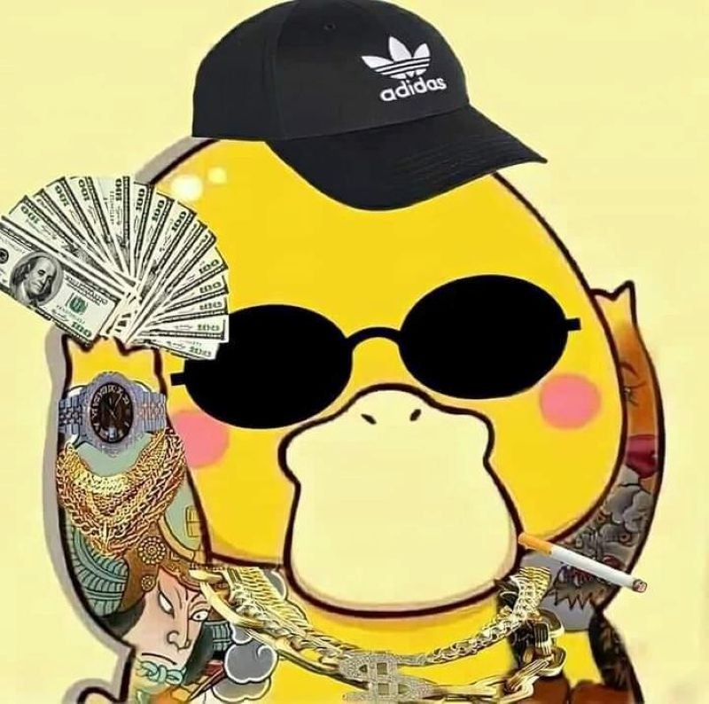 meme vịt với biểu cảm tấu hài meme vịt với biểu cảm tấu hài
