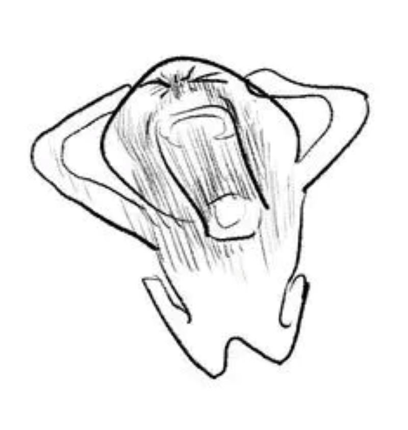 meme wojak tình huống đời thường