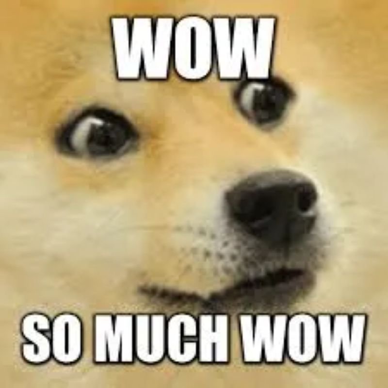 meme wow biểu cảm bất ngờ hài hước