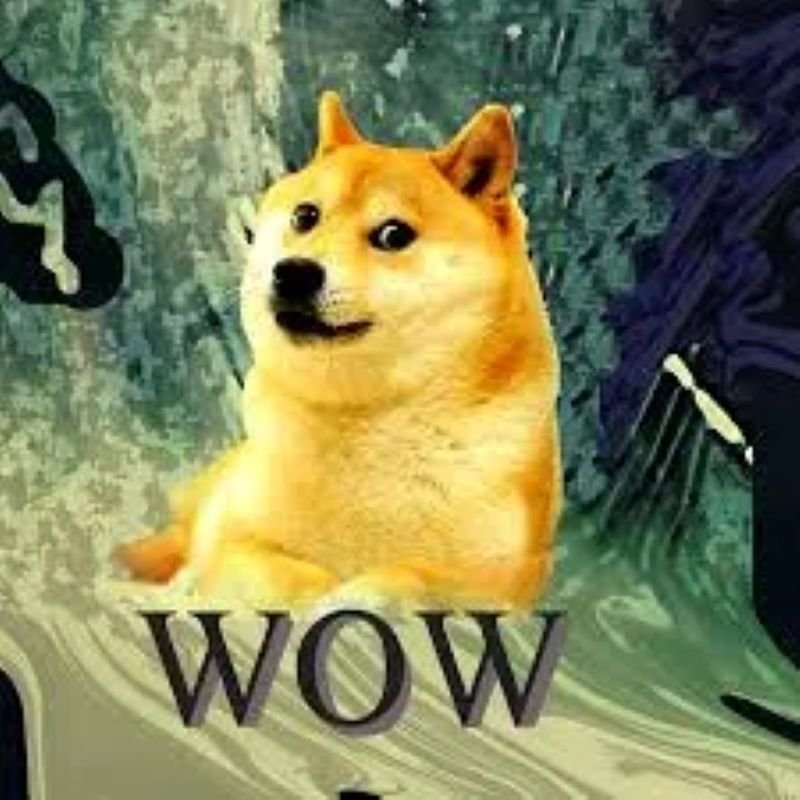 meme wow reaction bất ngờ cực hài