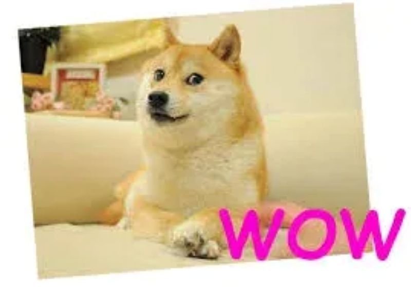meme wow reaction cực kỳ bá đạo