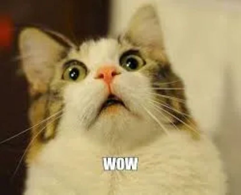 meme wow reaction gây cười cực mạnh