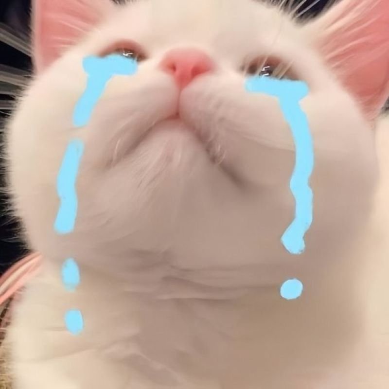 meme xin lỗi bá đạo dành cho hội bạn thân