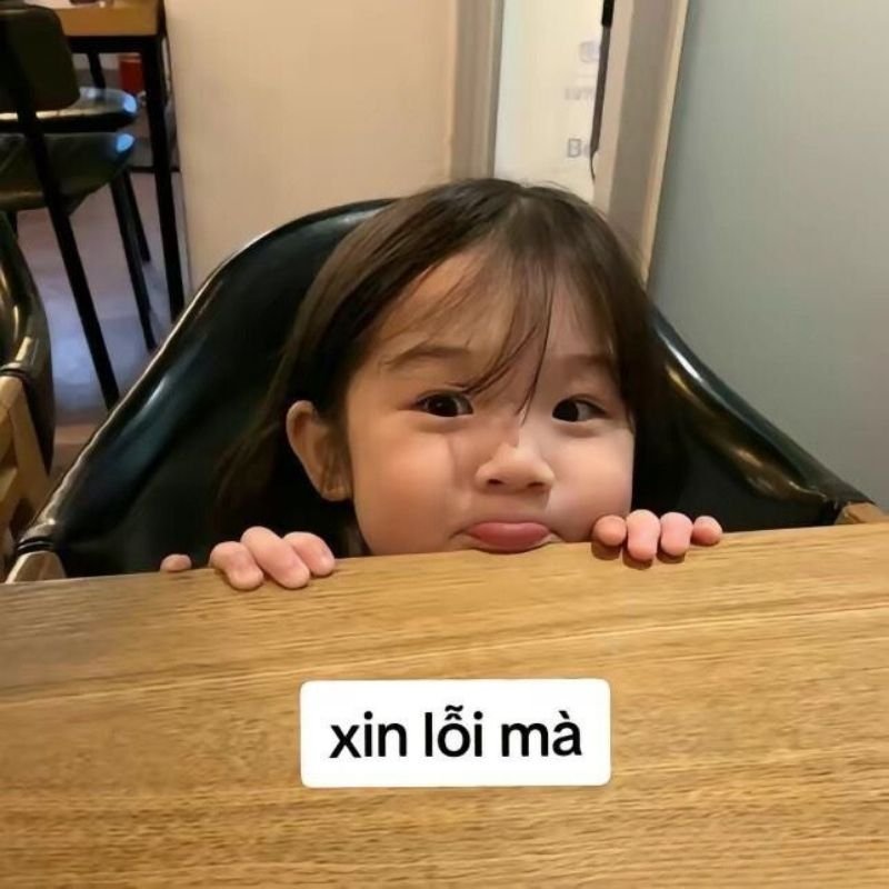 meme xin lỗi cực mặn cho những lần mắc lỗi