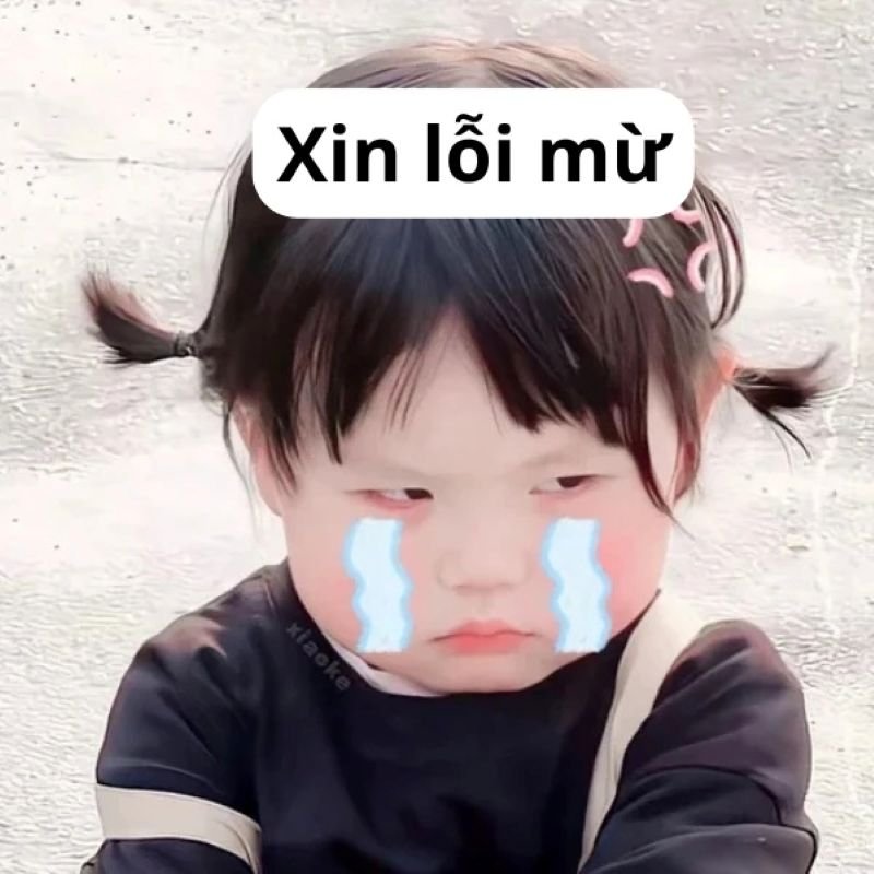 meme xin lỗi cực mặn khiến dân mạng thích thú