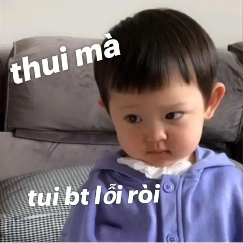 meme xin lỗi cute dùng để nhắn tin
