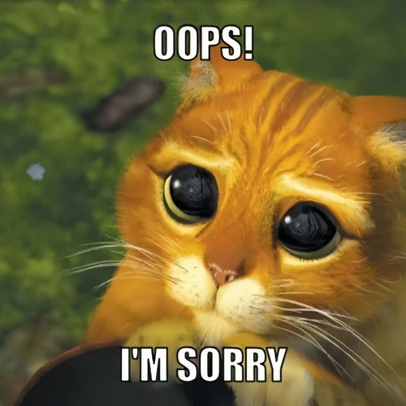 meme xin lỗi khiến người xem cười xỉu