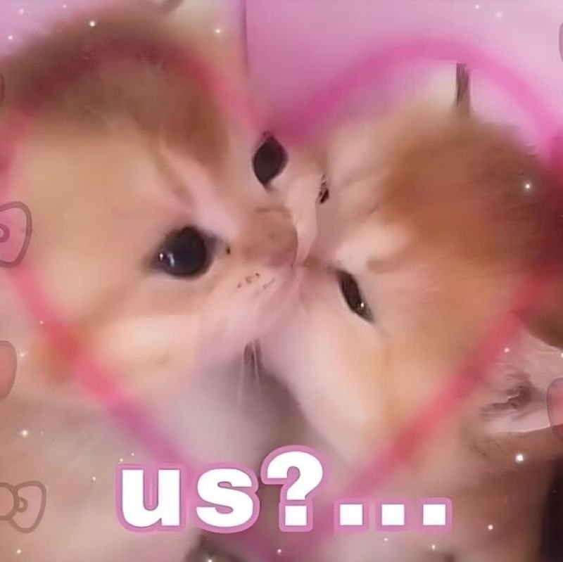 meme yêu thương biểu cảm cực dễ thương