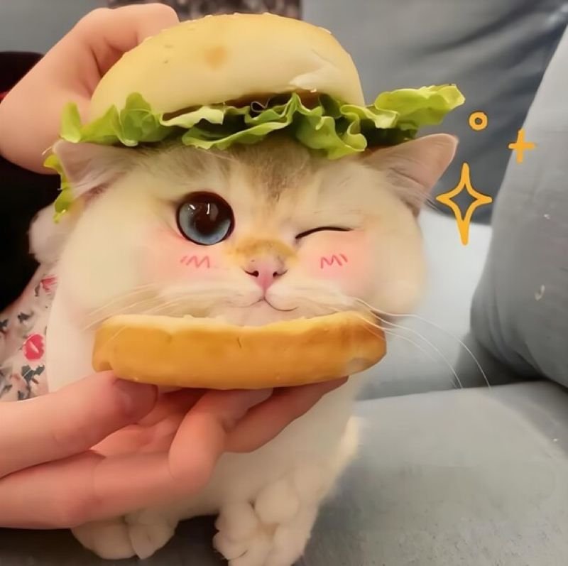 meme yêu thương dành cho người thương